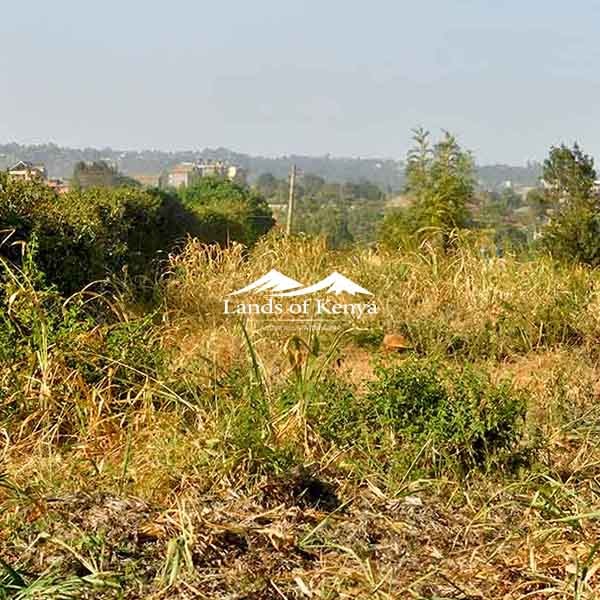 ½ ACRE ALONG KIRAWA ROAD-2