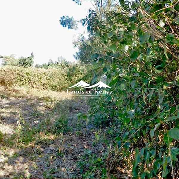 ½ ACRE ALONG KIRAWA ROAD-6