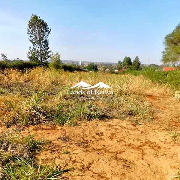 ½ ACRE ALONG KIRAWA ROAD-1